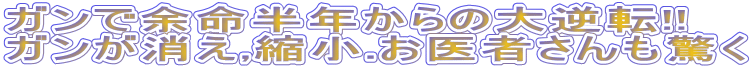 Kŗ]N̑t]!! 
K,k.҂